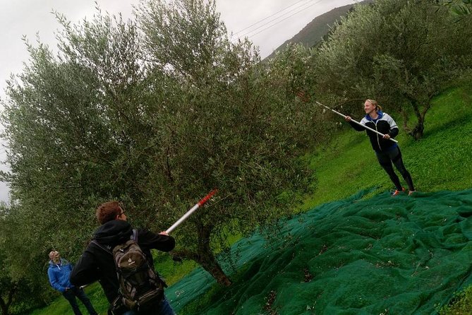 Half-Day Georgioupolis Off-Road Adventure with Meal - Why this Crete 4WD tour works so well in half a day