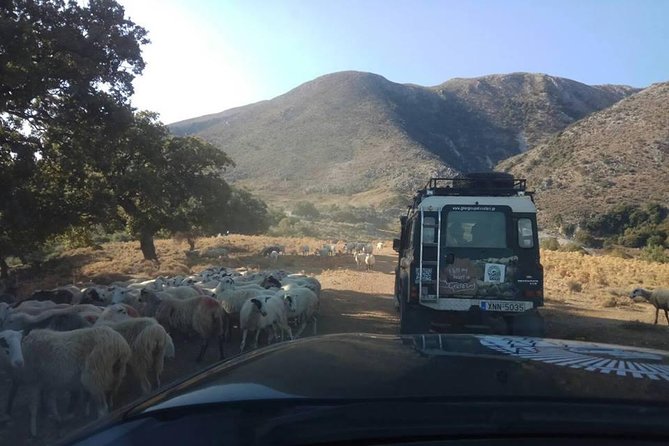 Half-Day Georgioupolis Off-Road Adventure with Meal - Meeting a shepherd and tasting Cretan cheese
