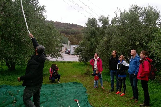 Half-Day Georgioupolis Off-Road Adventure with Meal - Who should book this outing