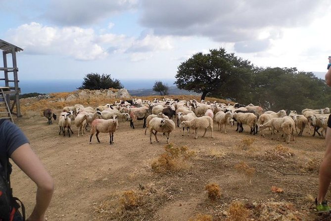 Half-Day Georgioupolis Off-Road Adventure with Meal - Price, booking, and cancellation details