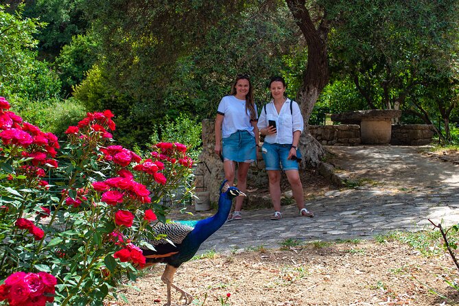Half-Day Private Tour & Picnic in Real Cretan Countryside Retreat - Agios Panteleimonas and the final mountain view