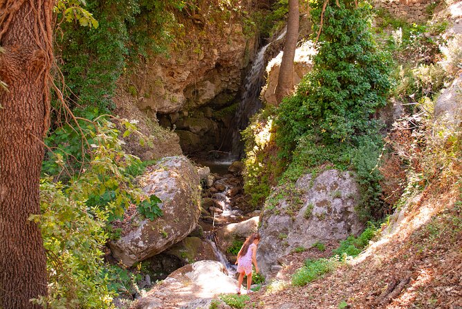 Half-Day Private Tour & Picnic in Real Cretan Countryside Retreat - What the private format is worth at $714.85
