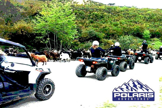 Half-Day Rethymno Quad Safari - Food, water, and the value of the $72.56 price