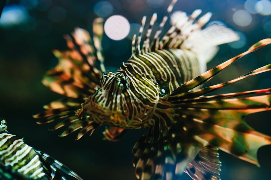 Heraklion Area: CRETAquarium Admission Ticket - How long should you allow?
