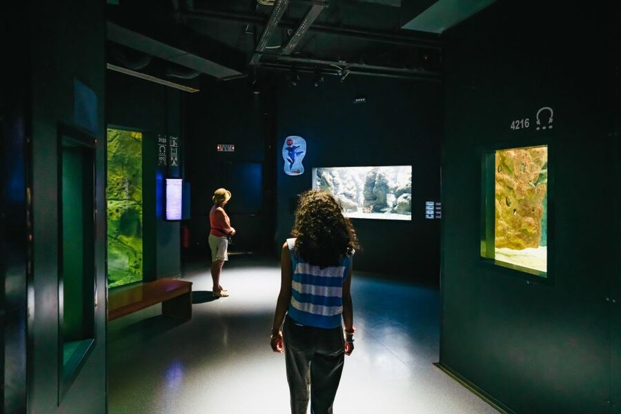 Heraklion Area: CRETAquarium Admission Ticket - Facilities, comfort, and accessibility