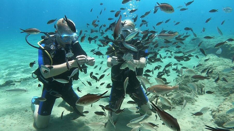 Heraklion: Beginner Scuba Diving Lesson with PADI Instructor - Who should book this experience?