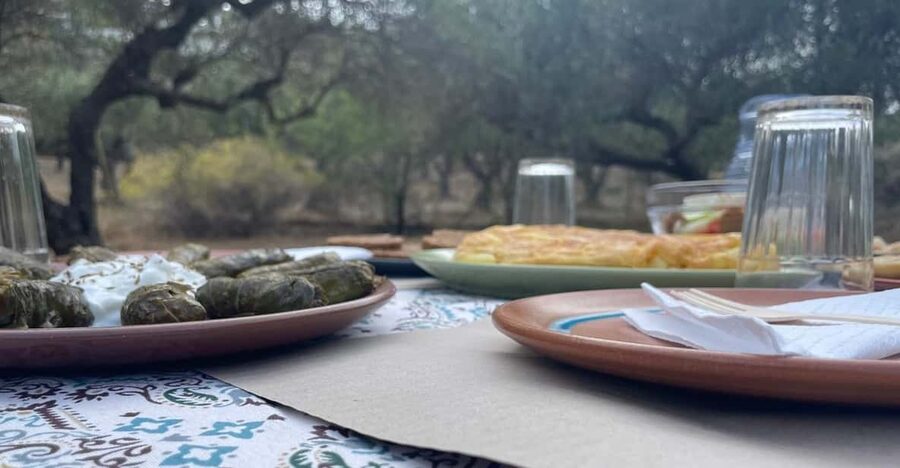 Heraklion: Cretan Farmers Brunch and Olive Grove Tour - Key points at a glance