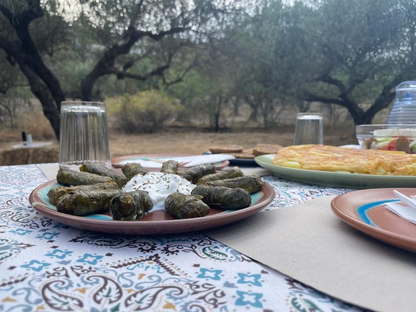 Heraklion: Cretan Farmers Brunch and Olive Grove Tour - Should you book the Cretan farmers brunch?
