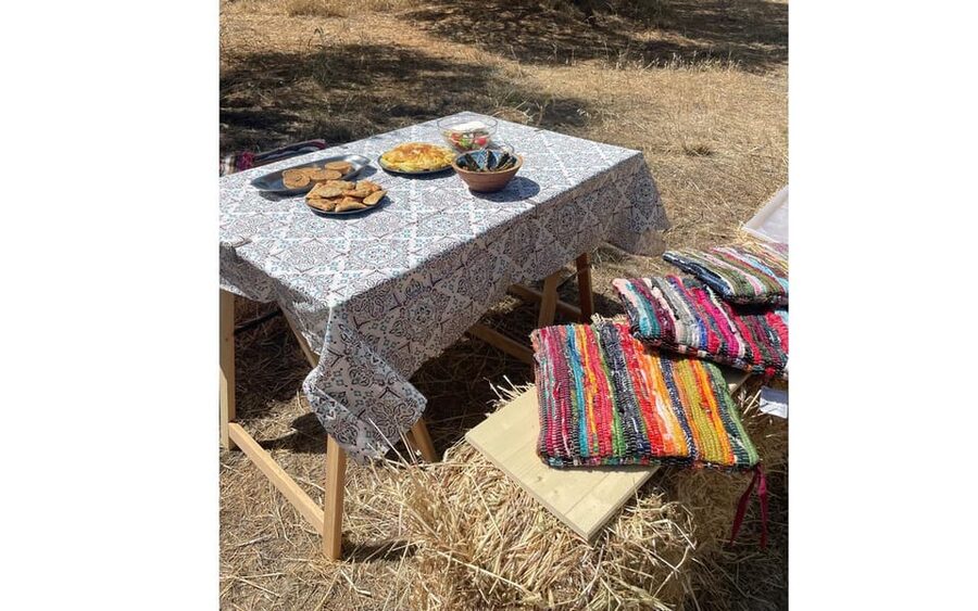 Heraklion: Cretan Farmers Brunch and Olive Grove Tour - An olive grove visit with a full farmer’s meal
