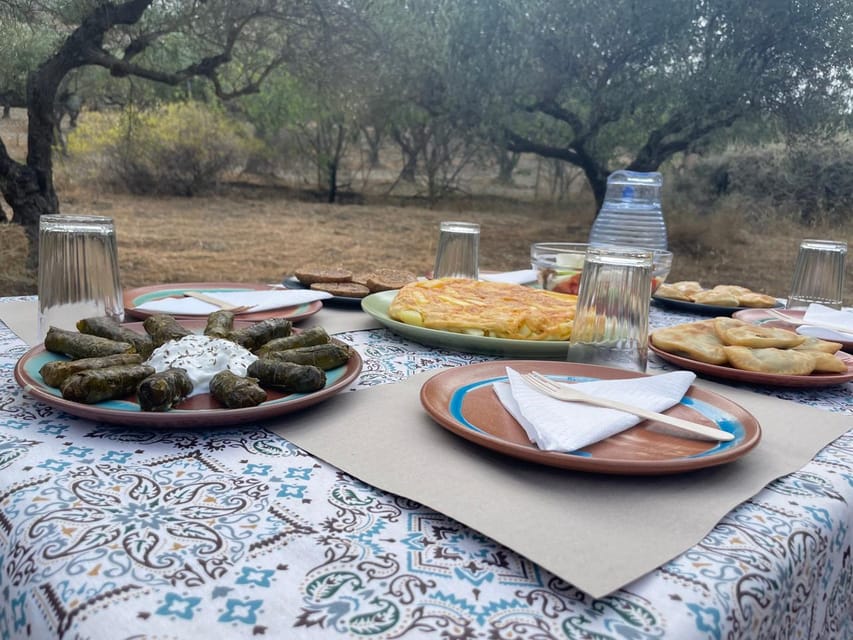 Heraklion: Cretan Farmers Brunch and Olive Grove Tour - The olive grove tour and how olive oil reaches your table