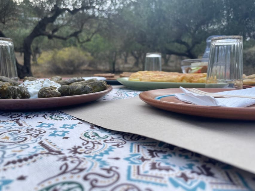 Heraklion: Cretan Farmers Brunch and Olive Grove Tour - Who will enjoy this farm visit most