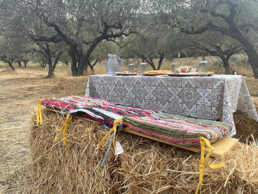 Heraklion: Cretan Farmers Brunch and Olive Grove Tour - Meeting Alex at the farm gate