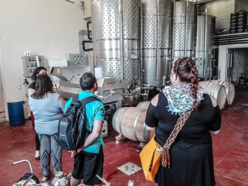 Heraklion: Cretan Wine Tasting Tour & Gourmet Lunch - Should you book it?