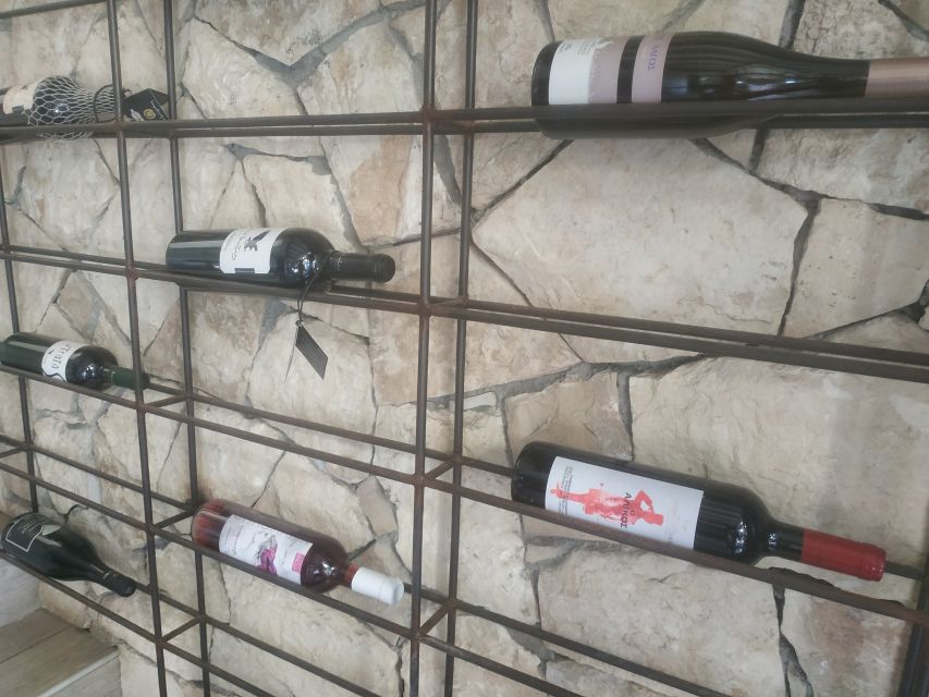 Heraklion: Ecobike Tour with Wine Tasting - How the wine portion compares with a regular tasting