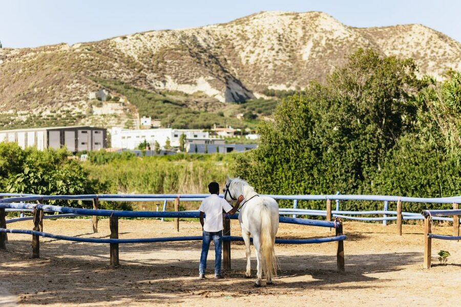 Heraklion: Finikia Horse Riding Tour with Lunch or Dinner - A Mountain Ride Followed by a Cretan Feast