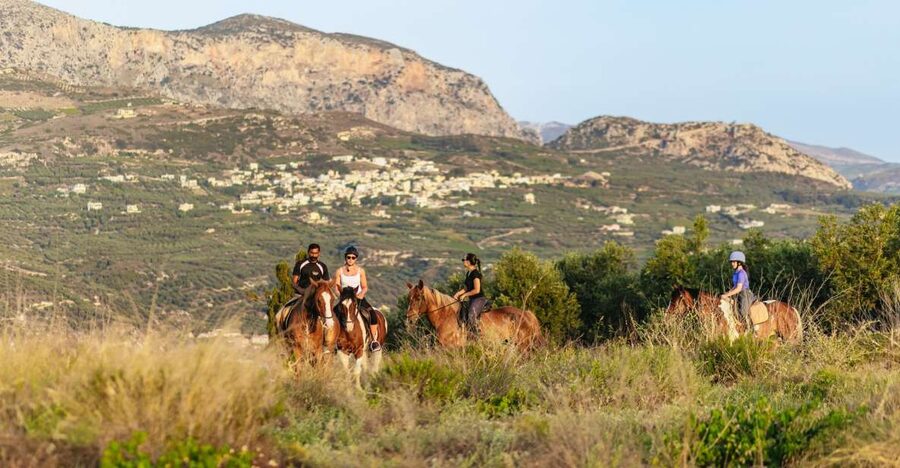 Heraklion: Finikia Horse Riding Tour with Lunch or Dinner - Riding Up Through Olive Groves