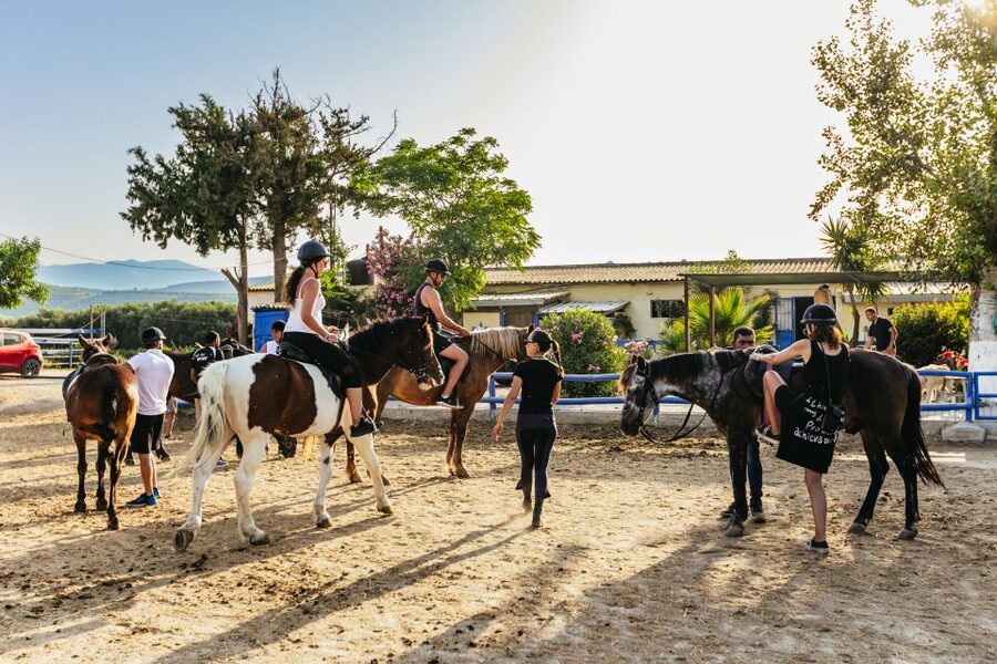 Heraklion: Finikia Horse Riding Tour with Lunch or Dinner - Dinner Under the Farm Lights