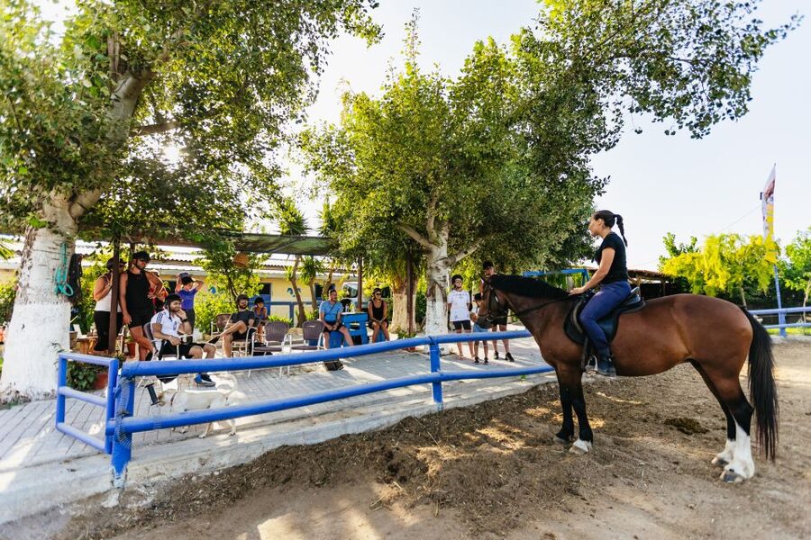 Heraklion: Finikia Horse Riding Tour with Lunch or Dinner - How the Guides Shape the Experience