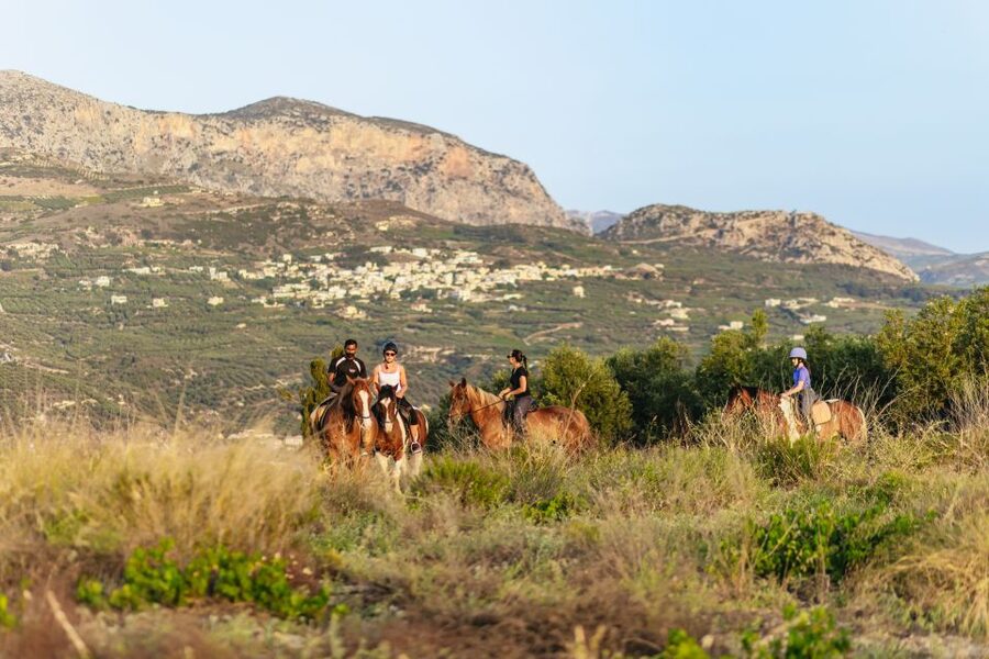 Heraklion: Finikia Horse Riding Tour with Lunch or Dinner - Meeting Your Horse and Learning the Basics