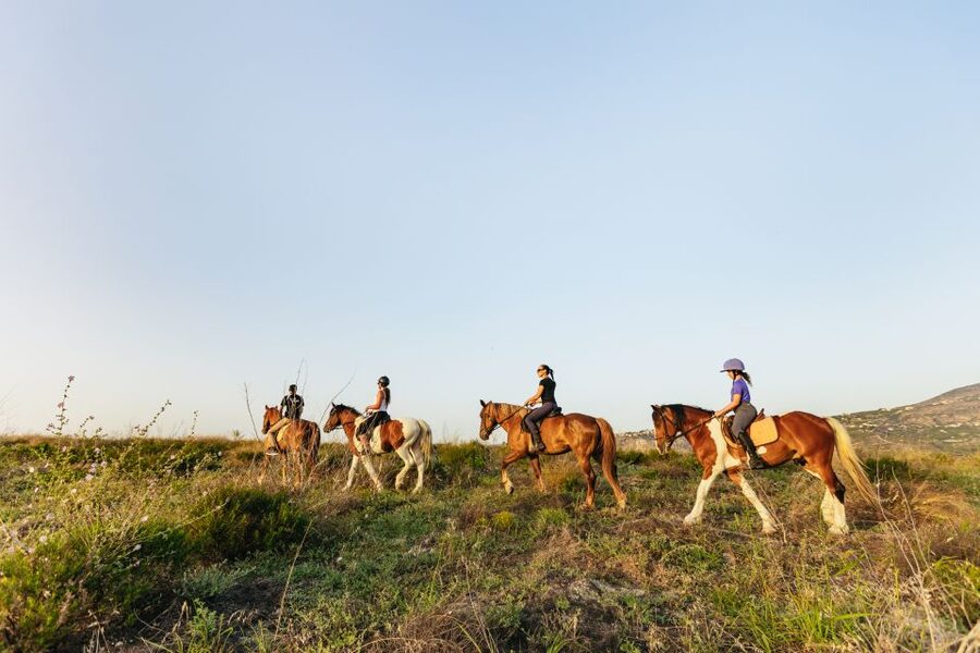 Heraklion: Horse Ride in the Cretan Mountains - Why This Ride Is Worth Your Time Near Heraklion