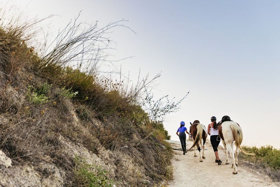 Heraklion: Horse Ride in the Cretan Mountains - Should You Book It?