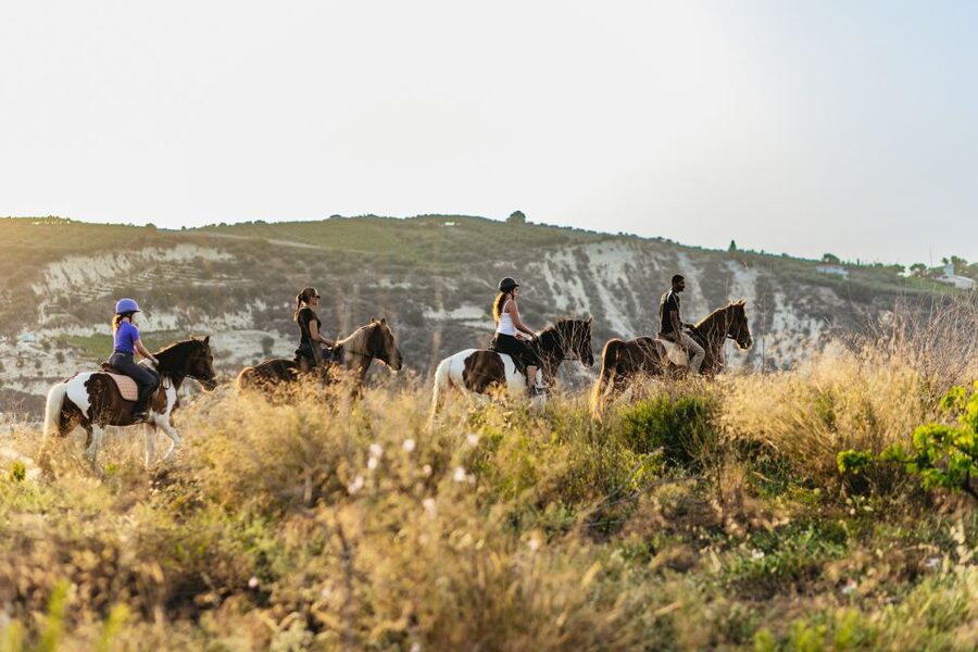 Heraklion: Horse Ride in the Cretan Mountains - Meeting the Horses at Finikia Horse Riding Farm
