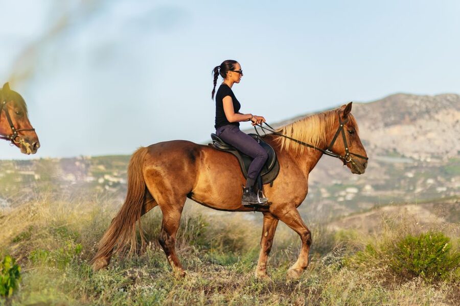 Heraklion: Horse Ride in the Cretan Mountains - Horses, Staff, and the Family-Run Feel