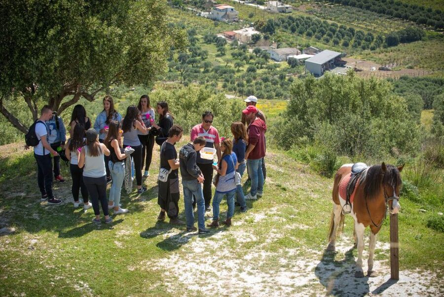 Heraklion: Horseriding Day Tour with Lunch and Transfer - Getting picked up from your hotel