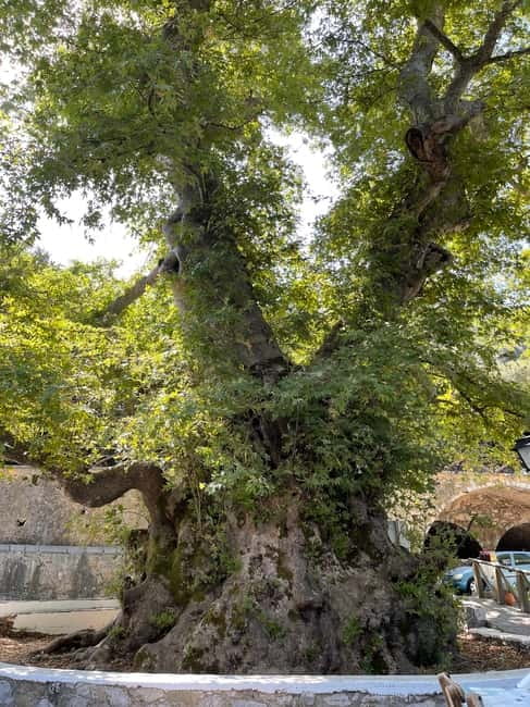 Heraklion: Knossos, Zeus, Villages & Olive Oil Factory Tour - Lunch in the Cretan countryside