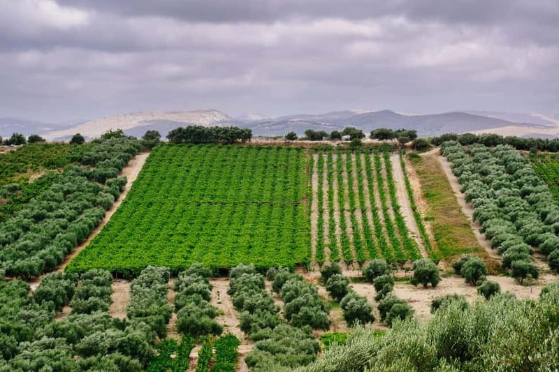Heraklion: Private Food and Wine Tour with a local Sommelier - Why Crete’s Peza Wine Country Makes a Good Day Trip