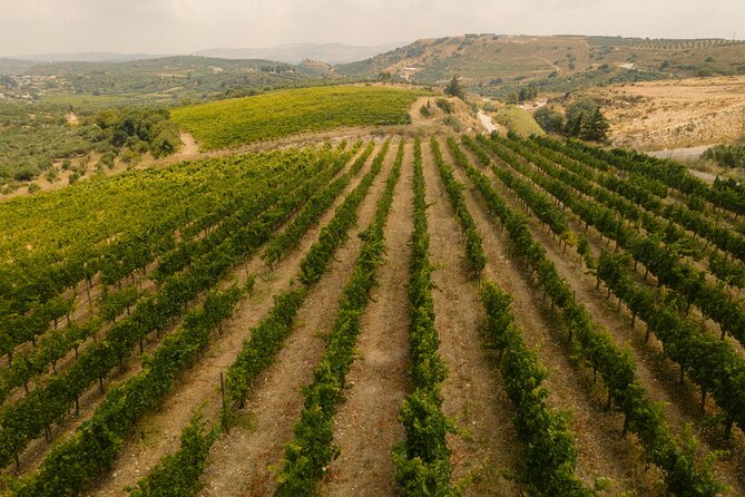 Heraklion Private Half-Day Gastronomy Diaries Experience in Lyrarakis Winery - The people make the private format work
