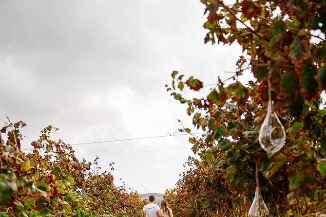 Heraklion Private Half-Day Gastronomy Diaries Experience in Lyrarakis Winery - Is $276.95 per person fair value?