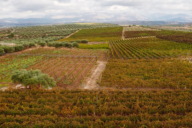 Heraklion Private Half-Day Wine Tasting Tour in Lyrarakis Winery - Six Cretan wines with a sommelier