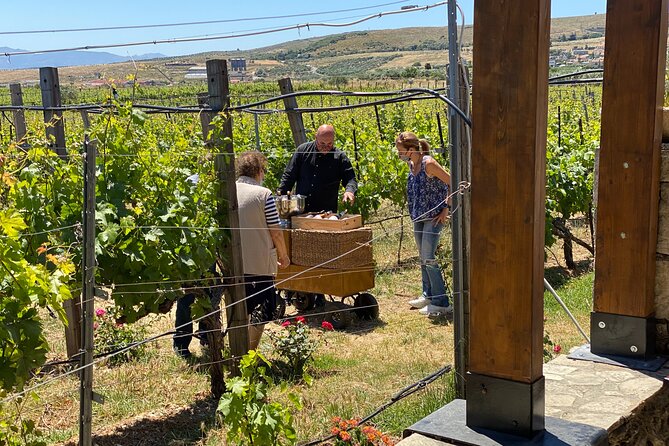 Heraklion Private Half-Day Wine Tasting Tour in Lyrarakis Winery - Time under the olive tree