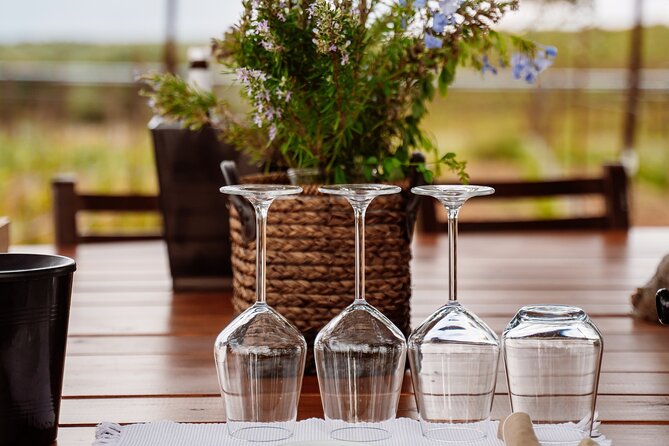 Heraklion Private Half-Day Wine Tasting Tour in Lyrarakis Winery - Who will enjoy this experience most