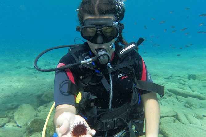Heraklion: Scuba Diving Experience for Beginners - Meeting the sea at Agia Pelagia Beach