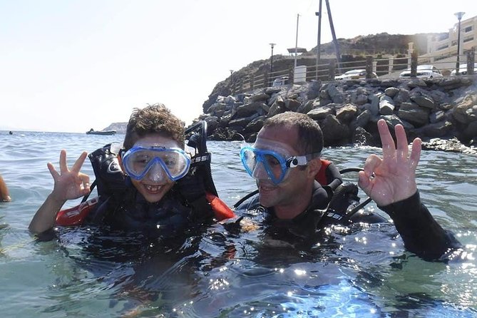 Heraklion: Scuba Diving Experience for Beginners - How much sea life should you expect?