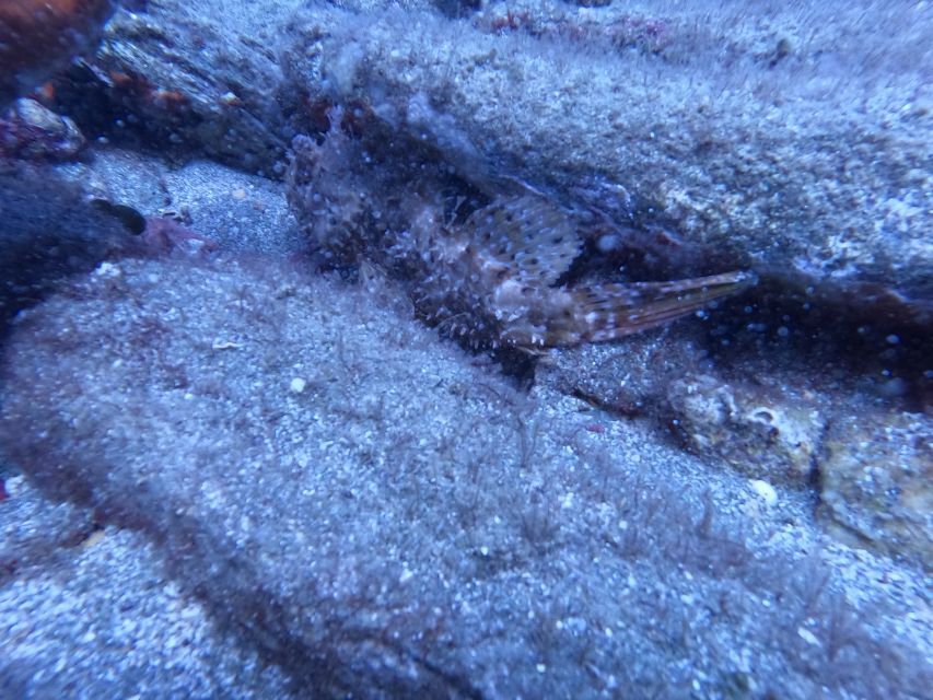 Heraklion: Scuba Diving Experience for Beginners _Beach - Key points at a glance