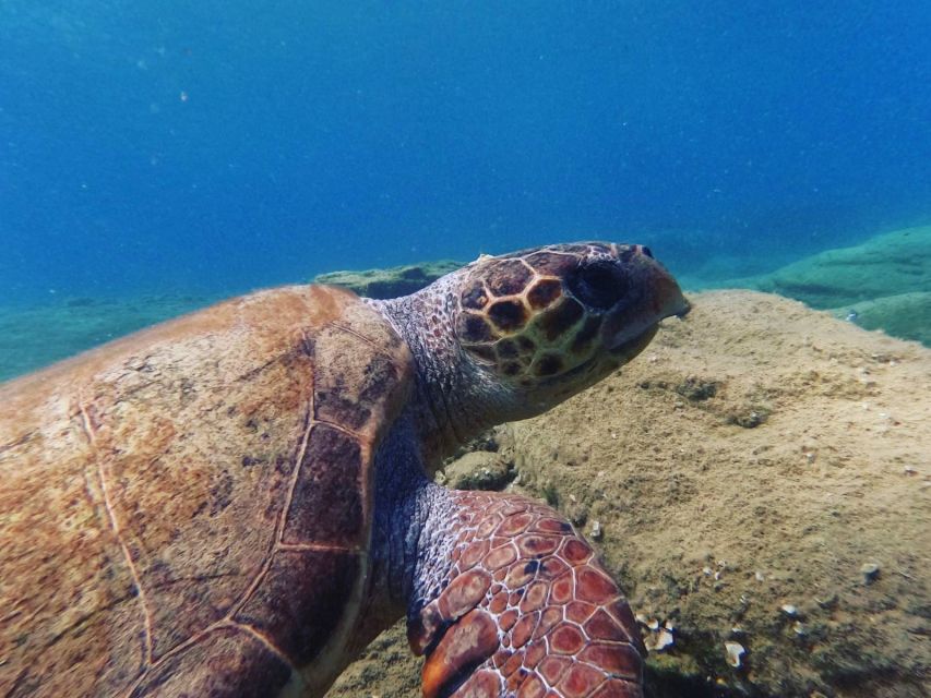 Heraklion: Scuba Diving Experience for Beginners _Beach - Entering the water for your first underwater session