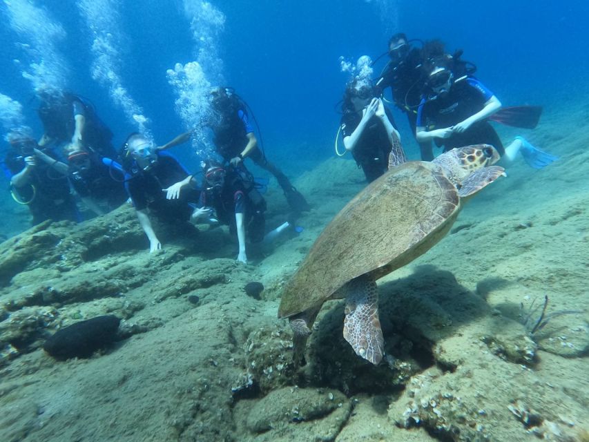Heraklion: Scuba Diving Experience for Beginners _Beach - Photos, videos, and the extra cost