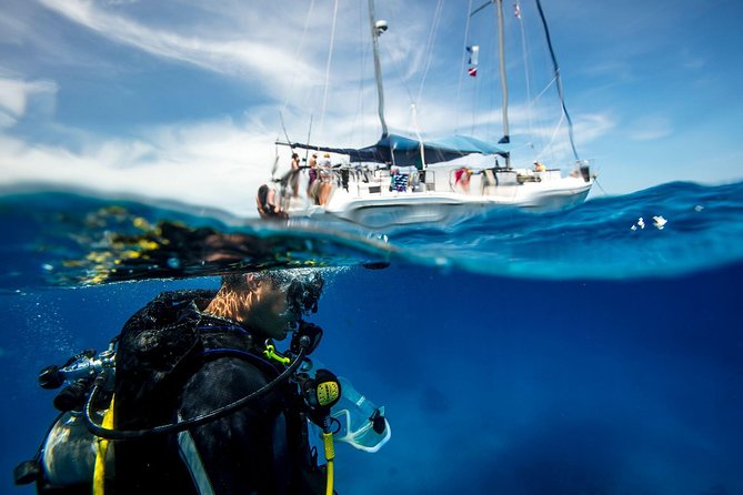 Heraklion: Scuba Diving Experience for First-Timers - Meeting the Sea at Ligaria Bay