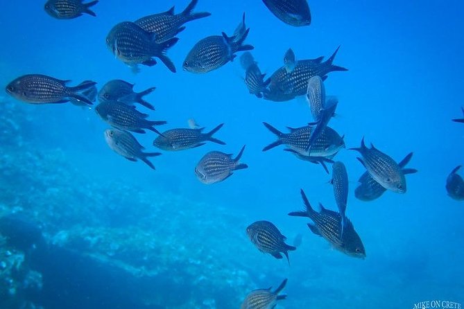 Heraklion: Scuba Diving Experience for First-Timers - A Look at the Six-Hour Schedule