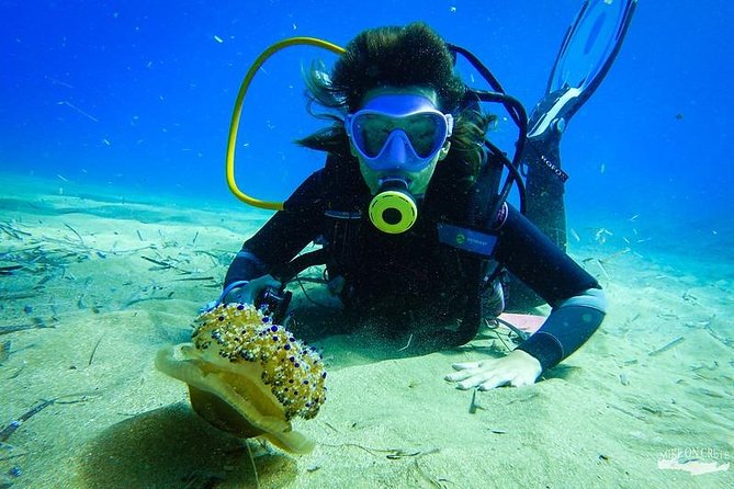 Heraklion: Scuba Diving Experience for First-Timers - Who Will Enjoy This Most