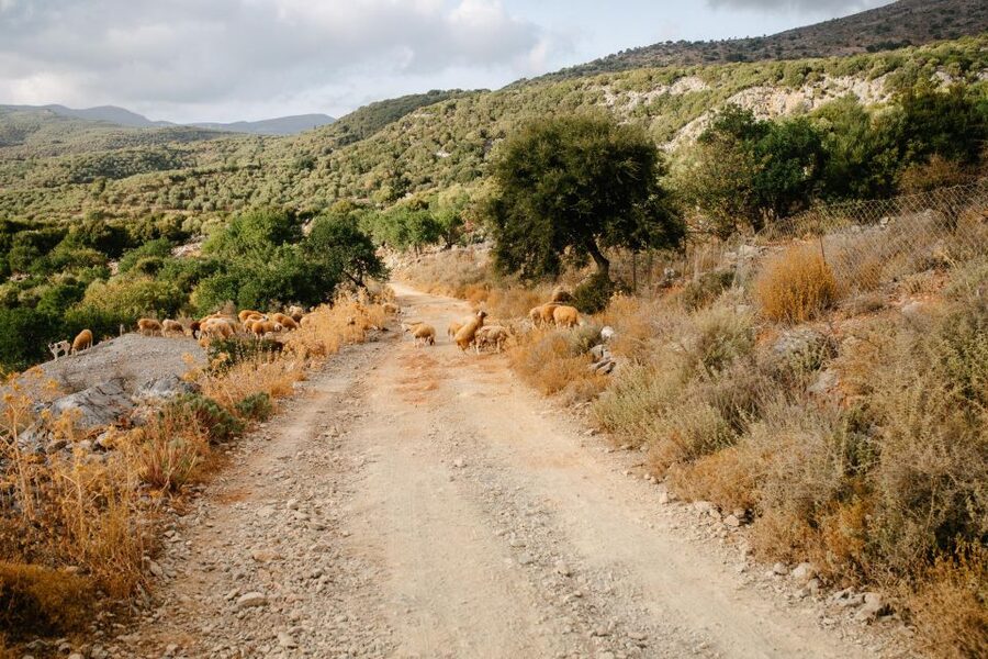 Heraklion: Self-Driving 4X4 Jeep Off-Road Tour with Lunch - Practical details that make the day easier