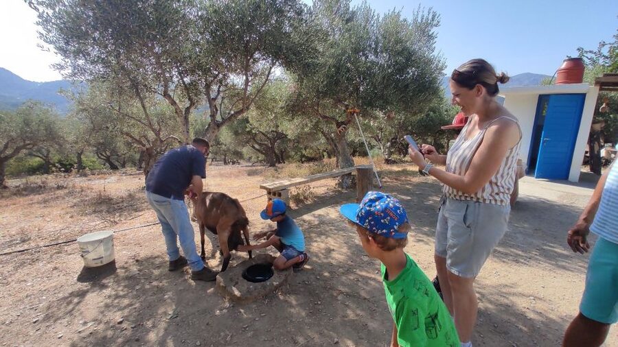 Heraklion: Self-Driving 4X4 Jeep Off-Road Tour with Lunch - Who will enjoy this day most?