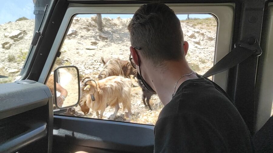 Heraklion: Self-Driving 4X4 Jeep Off-Road Tour with Lunch - From Malia to Potamies and the Aposelemis Dam