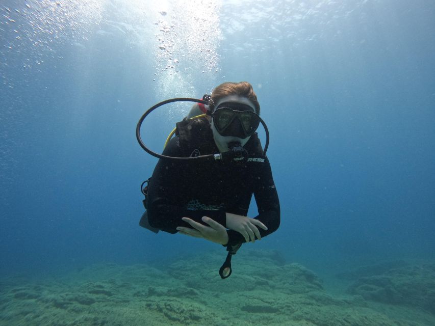 Heraklion: Try Scuba Diving For Beginners (1 dive) - A calm first step into Crete’s underwater world