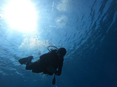 Try Scuba Diving For Beginners (1 dive)