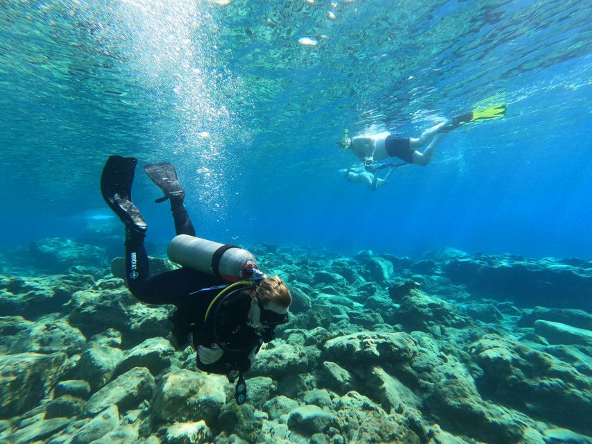 Heraklion: Try Scuba Diving For Beginners (1 dive) - A good choice for families and cautious beginners