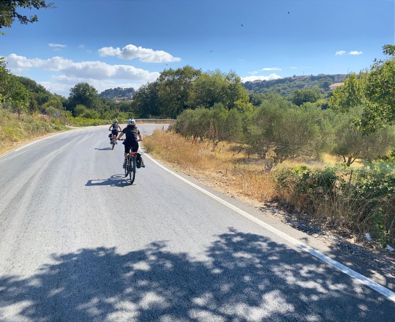 Heraklion: Wine Tasting E-Bike Tour - Should you book the Heraklion wine e-bike tour?